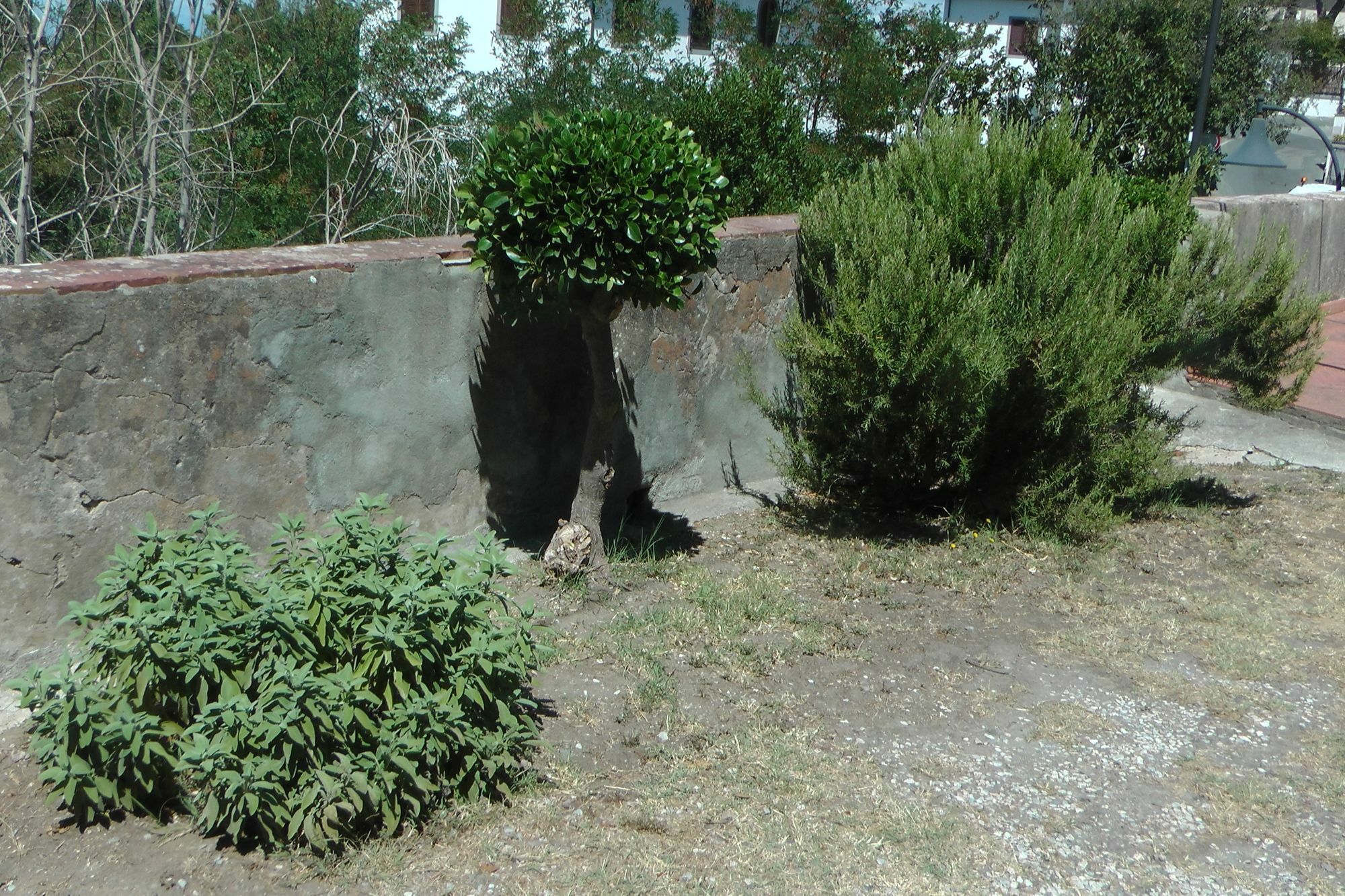 Ferienhaus Villa Della Querceta Livorno Ngoại thất bức ảnh